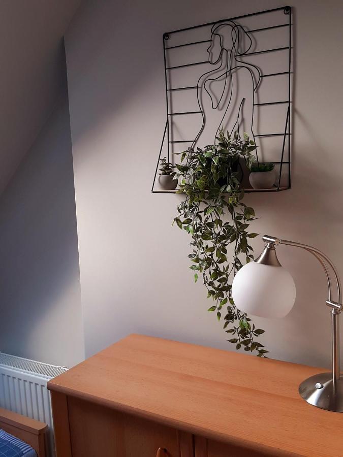 Apartament Apartament Gdańsk'a Nowy Dwór Gdański Zewnętrze zdjęcie